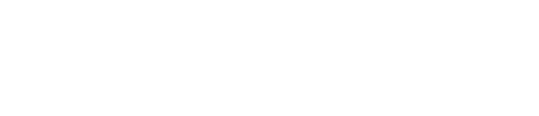Flexo Argentina S.R.L. logo