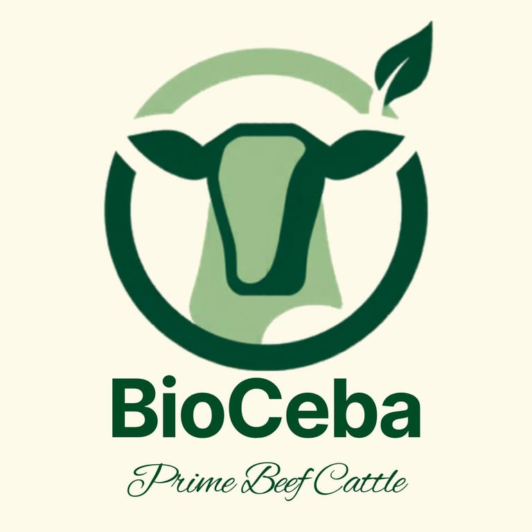 BioCeba logo