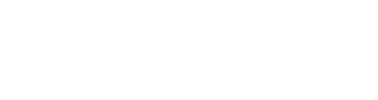 BrownKites Technologies logo