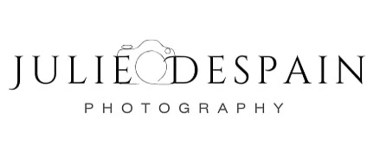Julie Despain Photography logo