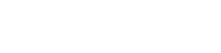 Nestor Gómez - Rinoplastía ultrasónica logo