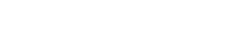 Ian Valor Studio logo