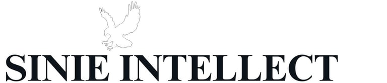 SINIE INTELLECT INC logo