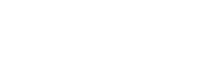 Transselect logo