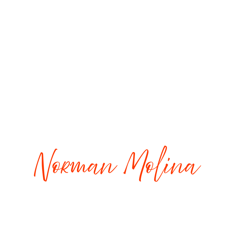 Norman Molina Arquitectura logo