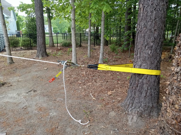 Using a tree saver strap with a maasdam rope puller to bring down a backleaning Sweetgum tree