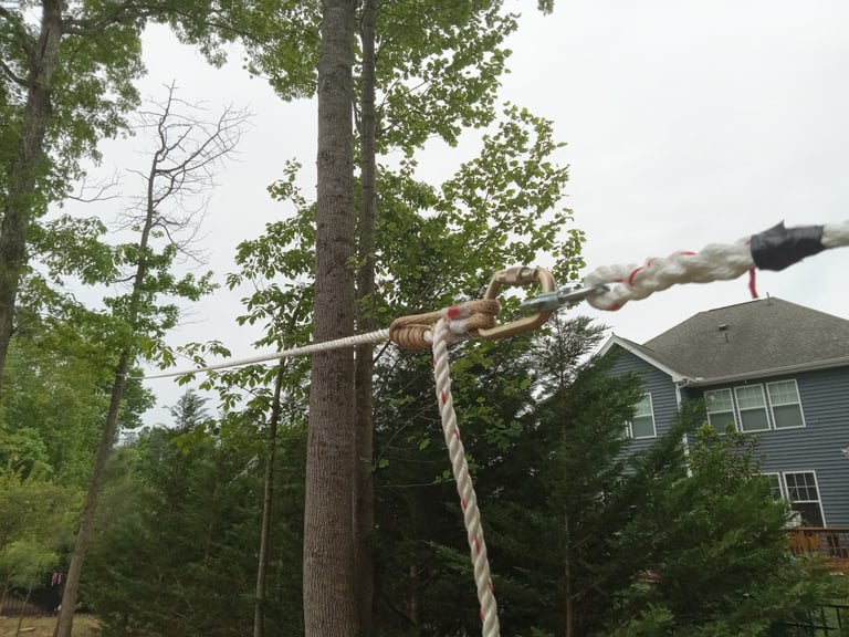 Connecting an anchor line to a rigging line using a prussik friction hook for controlled directional tree felling
