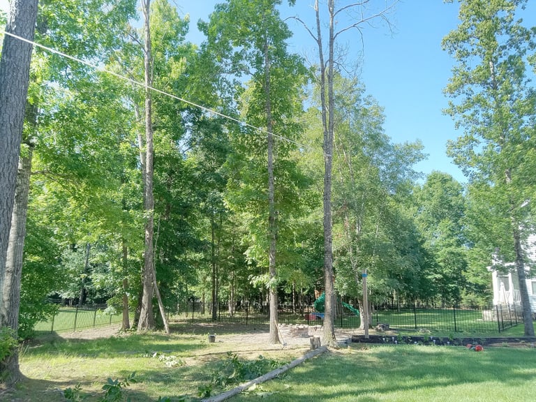 Rigging a leaning dead oak for controlled removal in harpers mill, chesterfield va