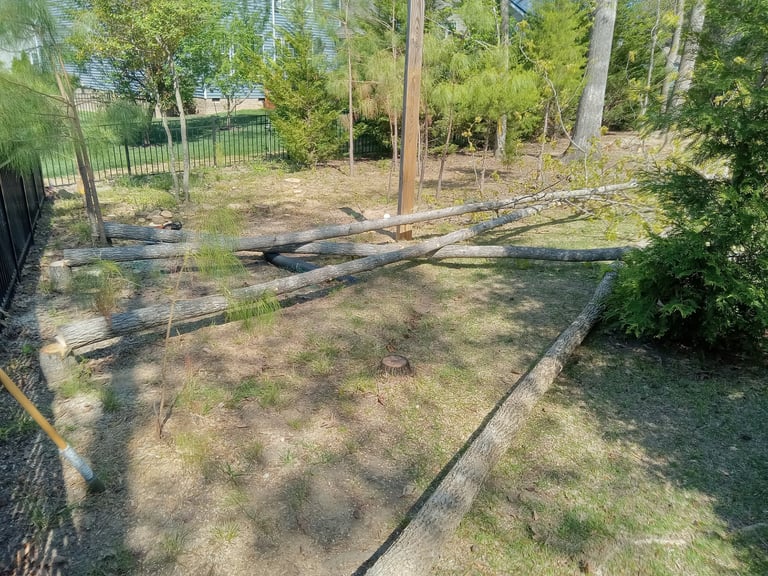 Tree removal close to fence in Central Virginia