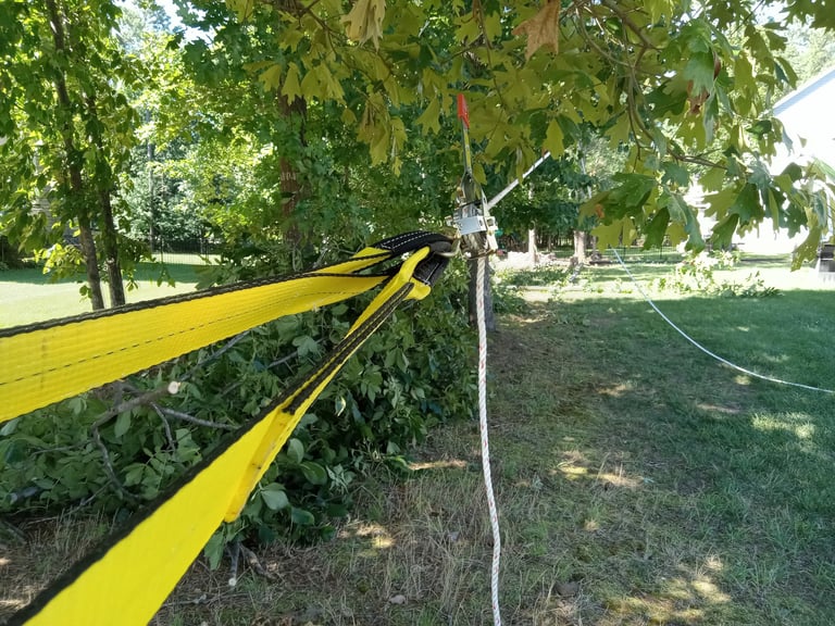 using a Maasdam rope puller to tip a leaning dead oak over for controlled felling