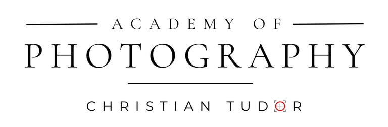LumiFrame logo