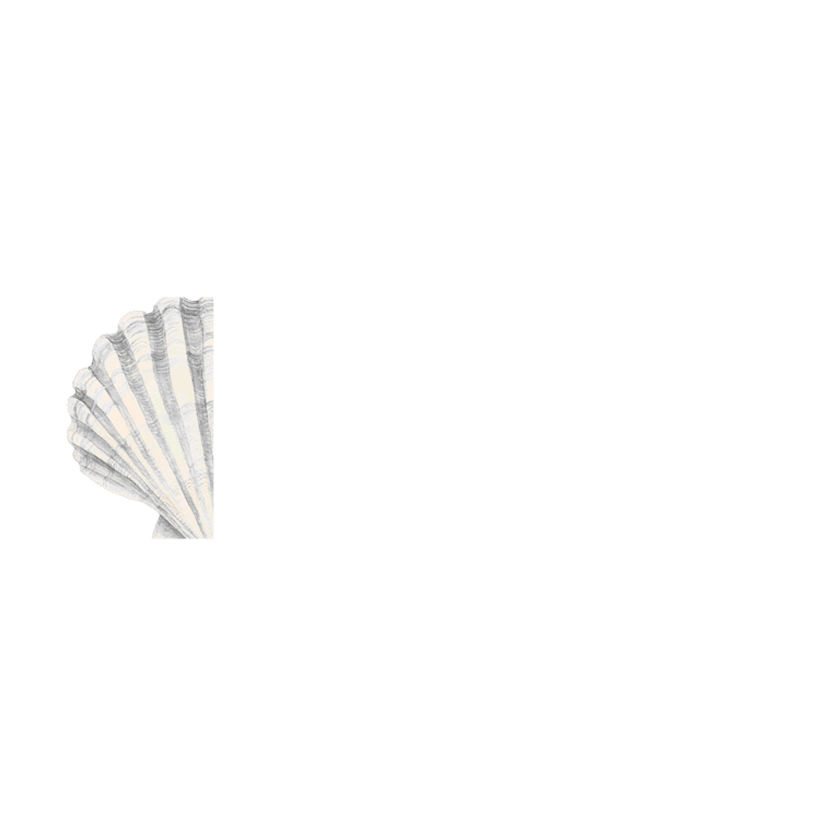 Sophie Elizabeth Photography logo