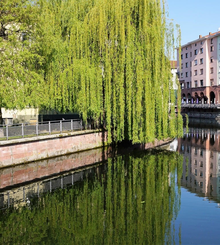 Ein Fluss, die Enz, der quer durch die Stadt Pforzheim fließt