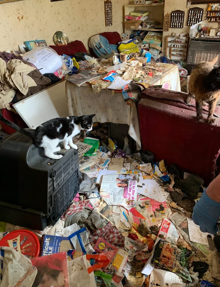 extreme cleaning services