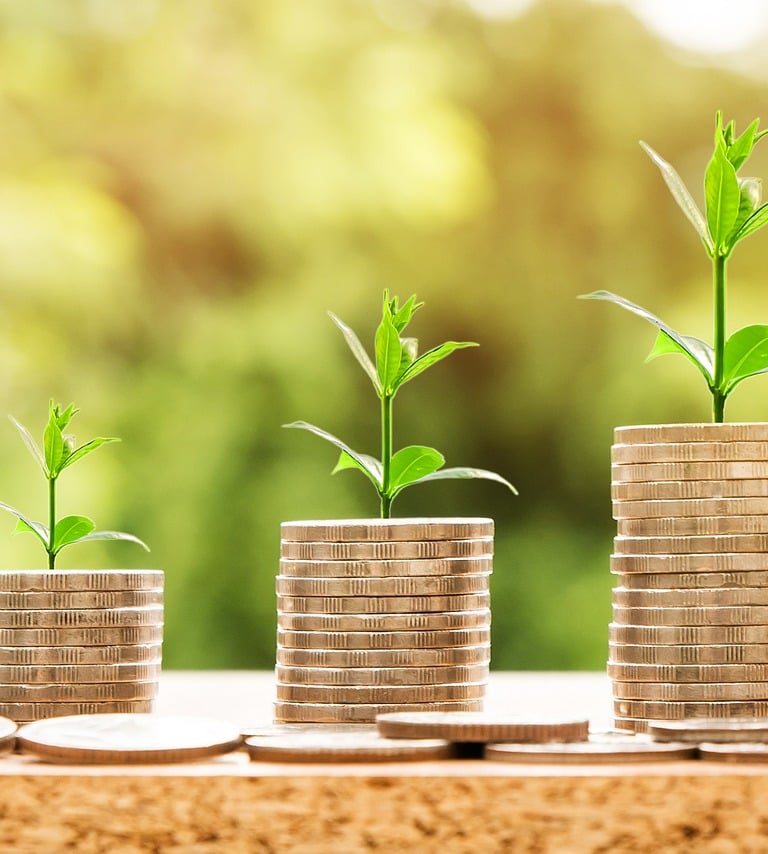 coins with plants sprouting out of them symbolizing growing wealth and compound interest