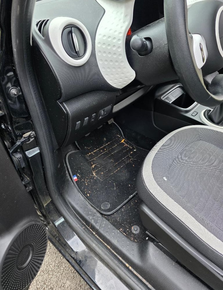 Avant nettoyage intérieur twingo