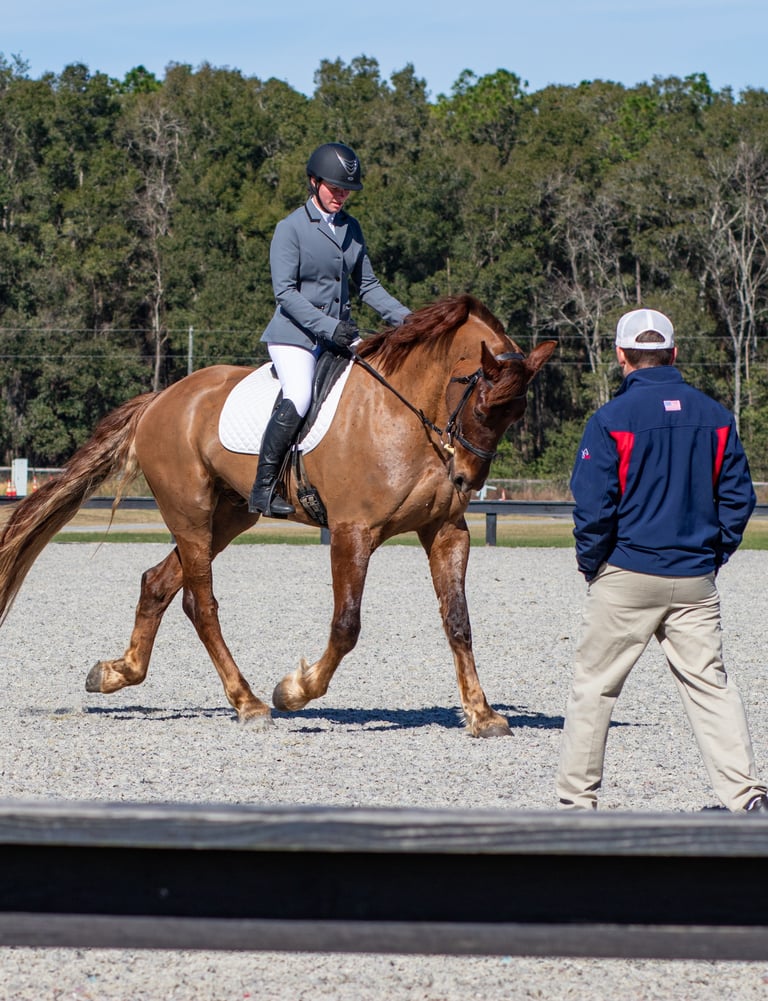 Equestrian rider in formal attire guiding a chestnut horse during a dressage training session, with 