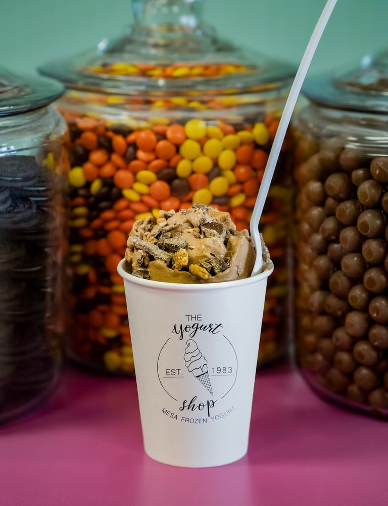 Gourmet frozen yogurt photographed for commercial marketing in Mesa, Arizona.