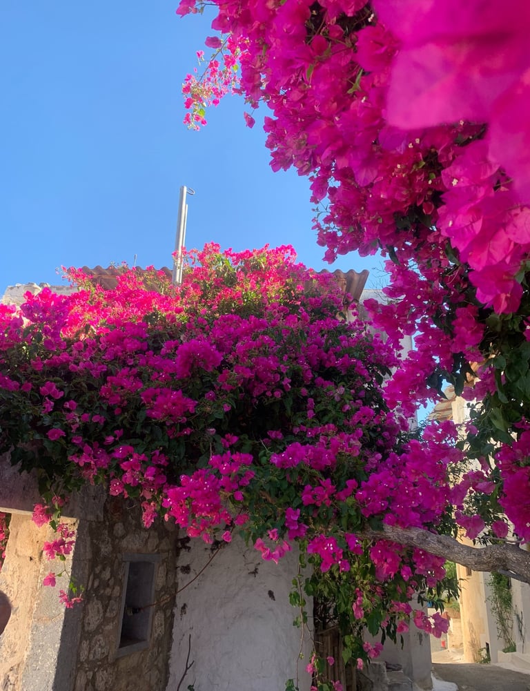 village traditionnel