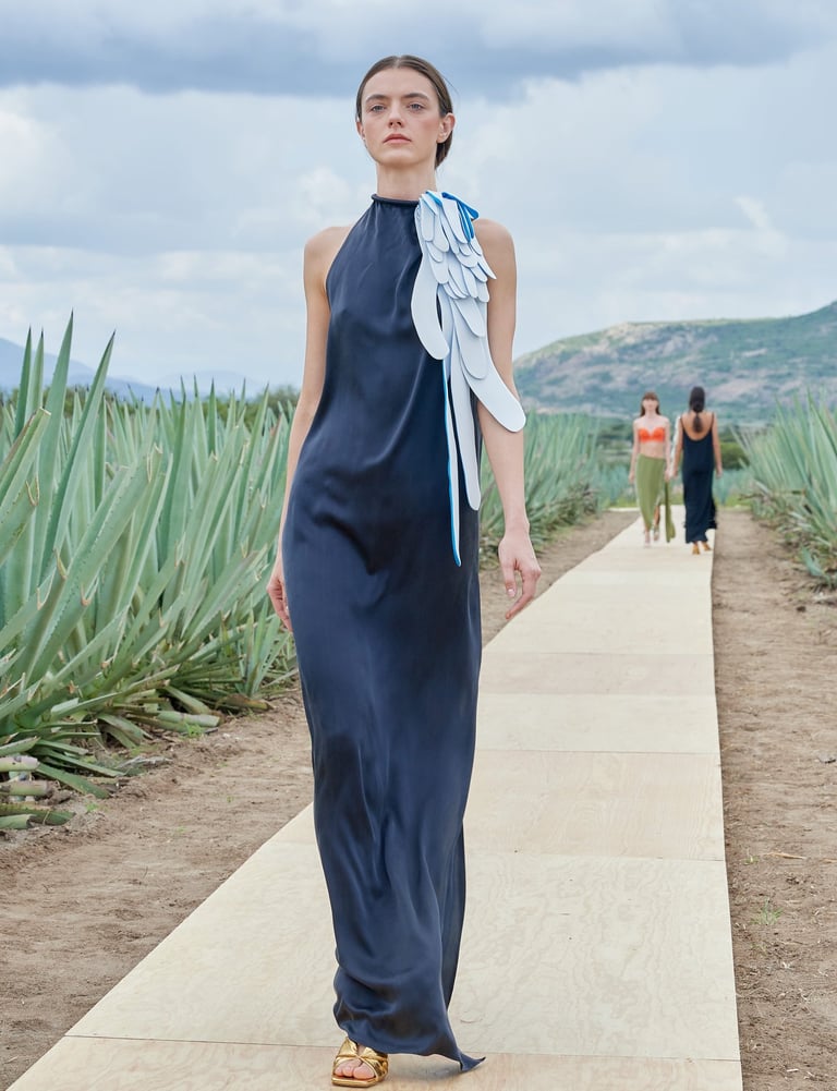a woman in a blue dress walking down a path