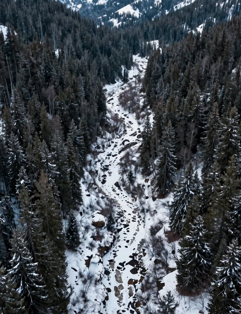 A wide aerial view of a snowy valley surrounded by dark green coniferous forests, North American / US winter scene, soft overcast lighting.