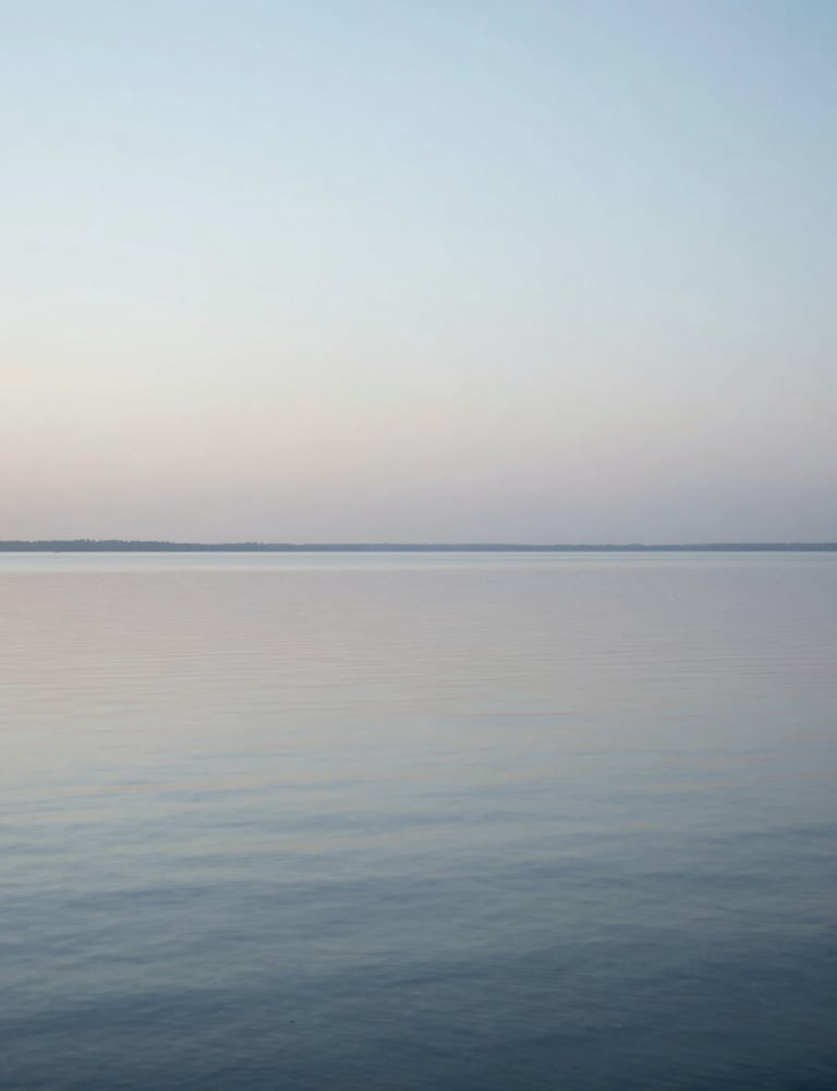 A serene minimalist landscape of a calm lake at dawn, monochromatic pale silver blue tones, smooth water surface, International / Western.