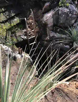 Ladder down into post fire cave, Kangaroo Island