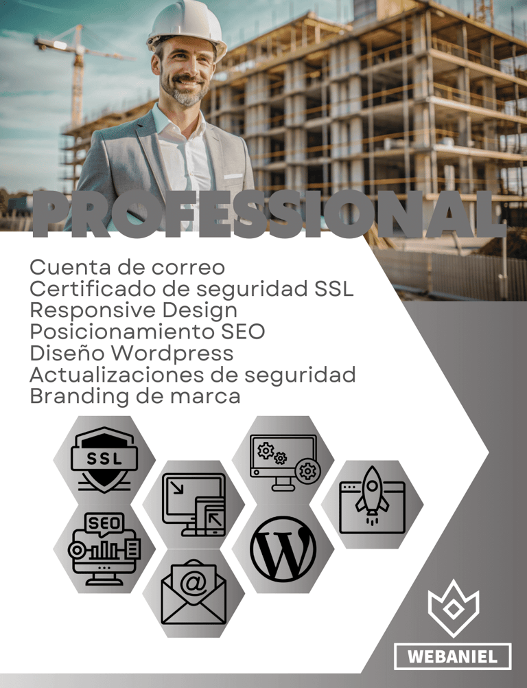 Plan Professional