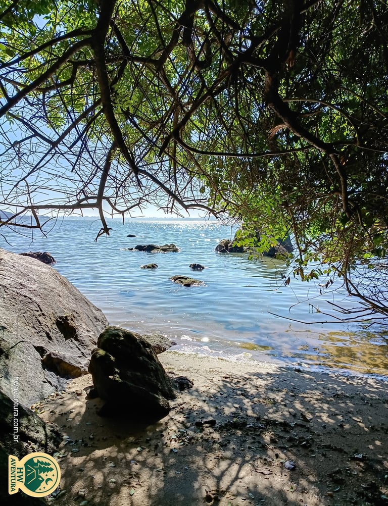 Vista em meio à vegetação, mostrando a areia da praia e o mar ao fundo