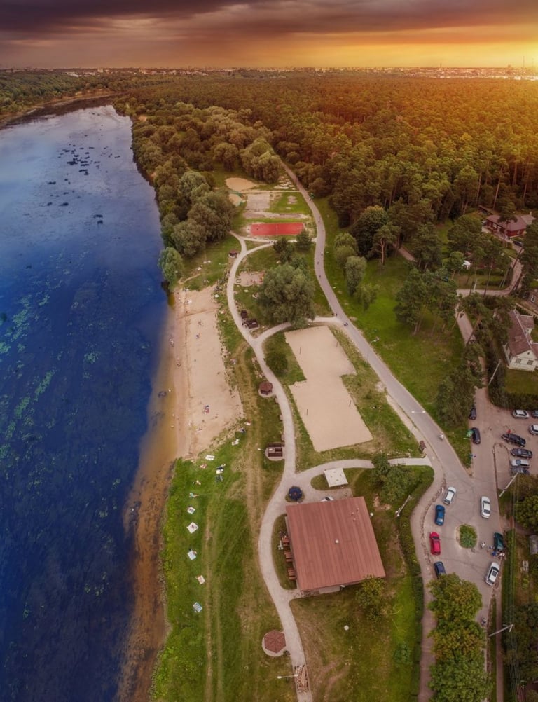 Panemunės šilas