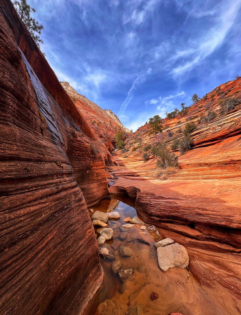 Red sandstone slot canyon with a small stream and blue sky at Zion National Park.