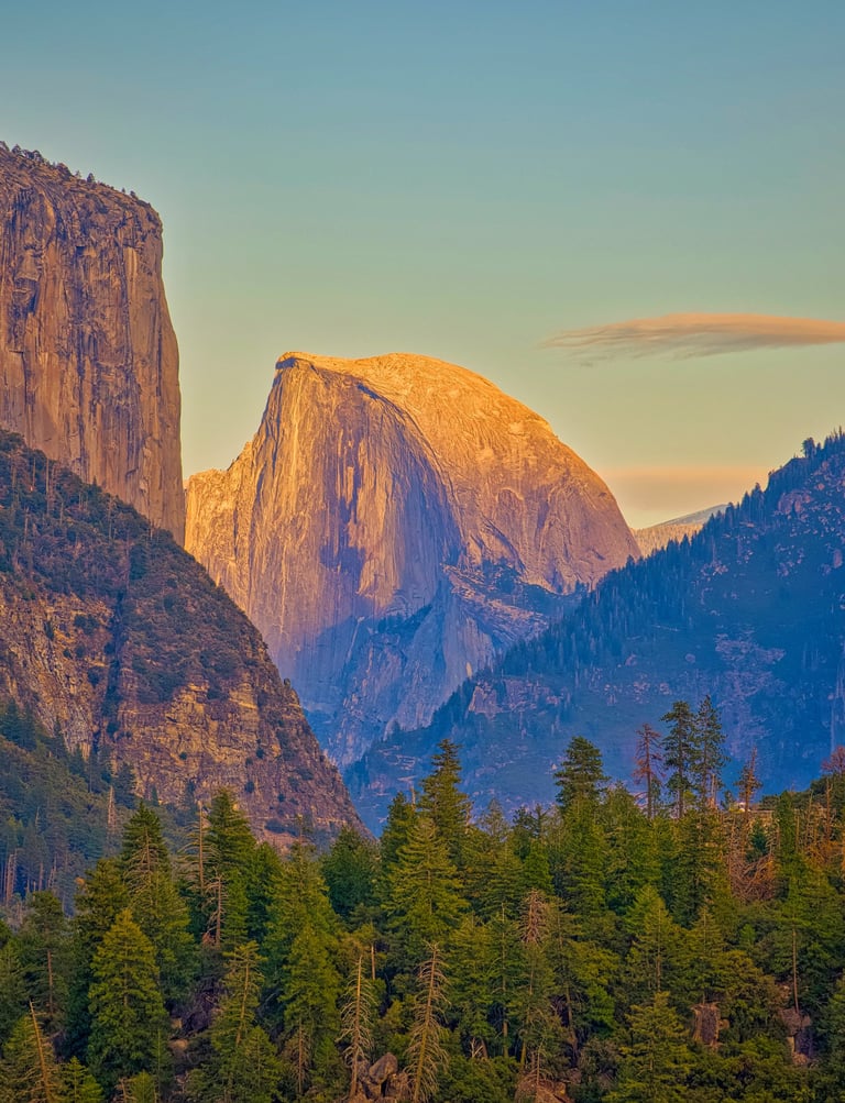 Scenic view of Half Dome in Yosemite National Park glowing at sunset above a lush pine forest.