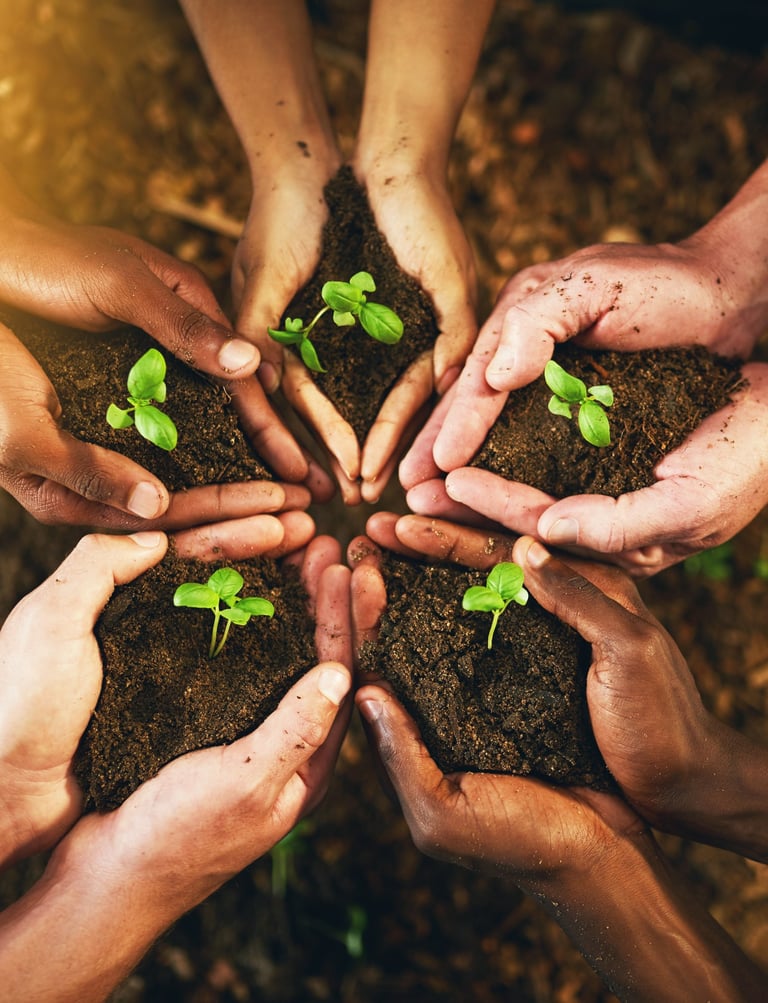 Geste collectif de plantation symbolique, représentant la guérison, l’espoir et le lien humain