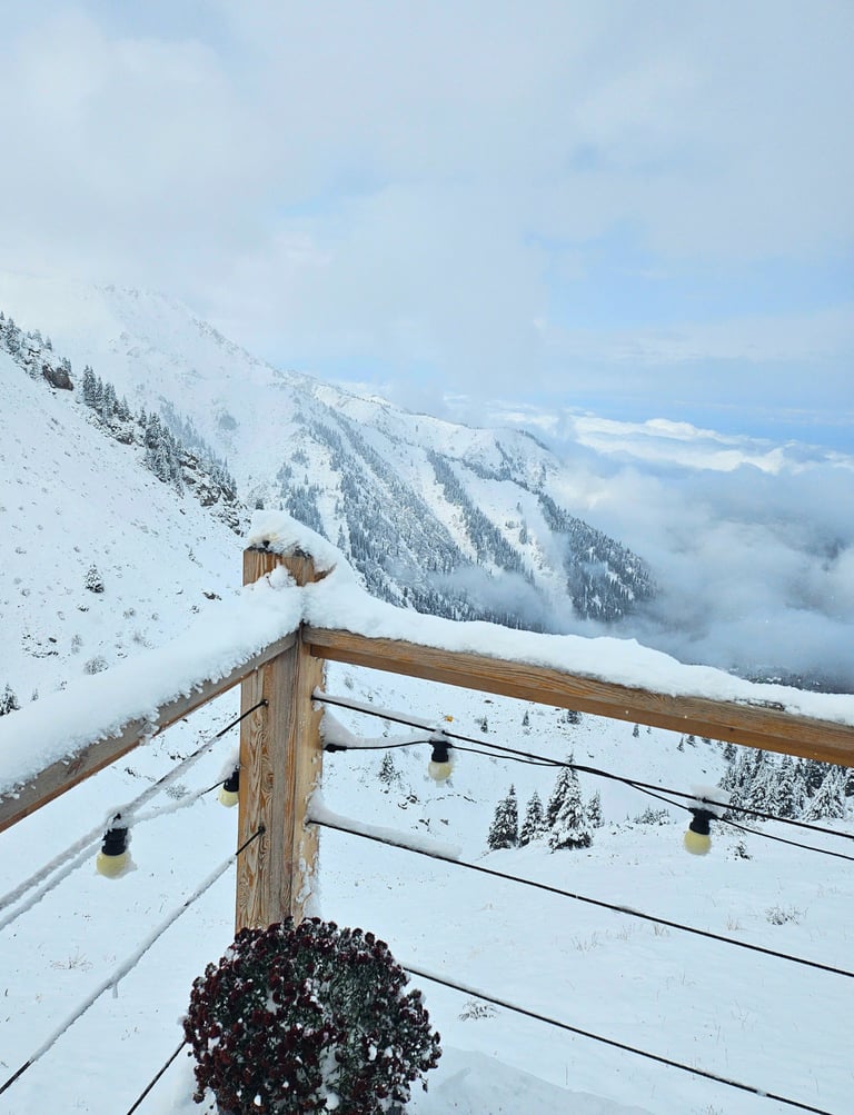 best visa services in dubai