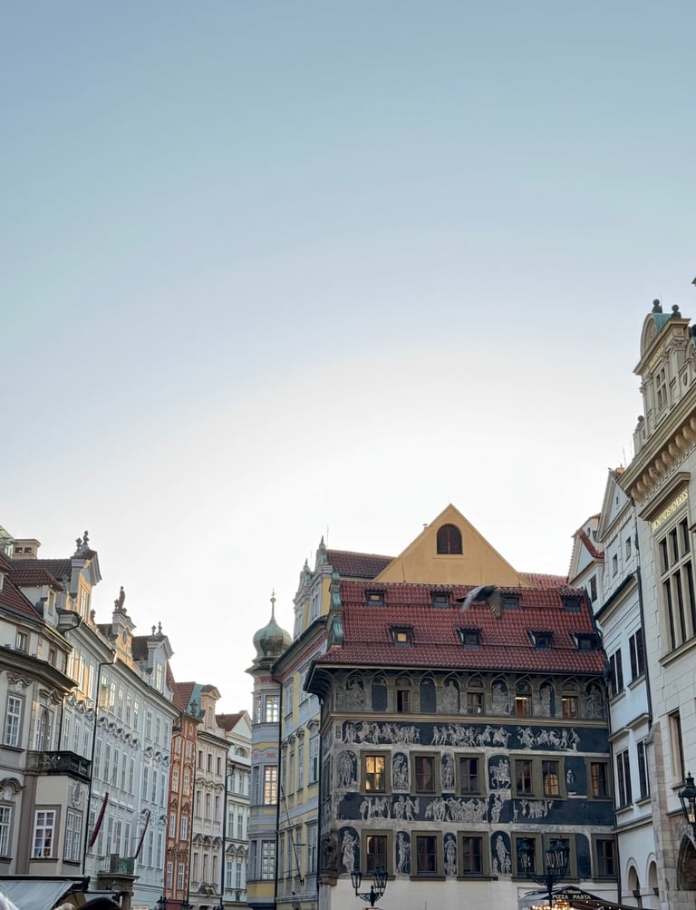 international tour package