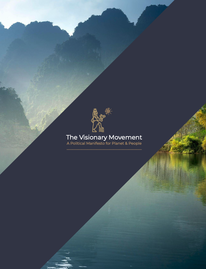 the visionary movement manifesto - front cover