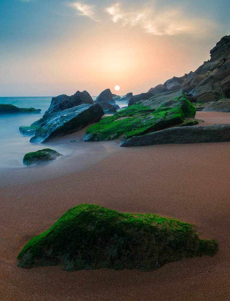 a beach with a sunset and a green grass
