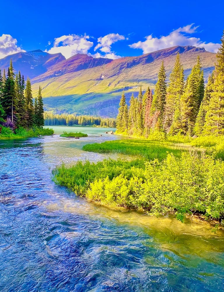 Clear blue river flowing through a lush evergreen forest with majestic mountains under a bright sky.
