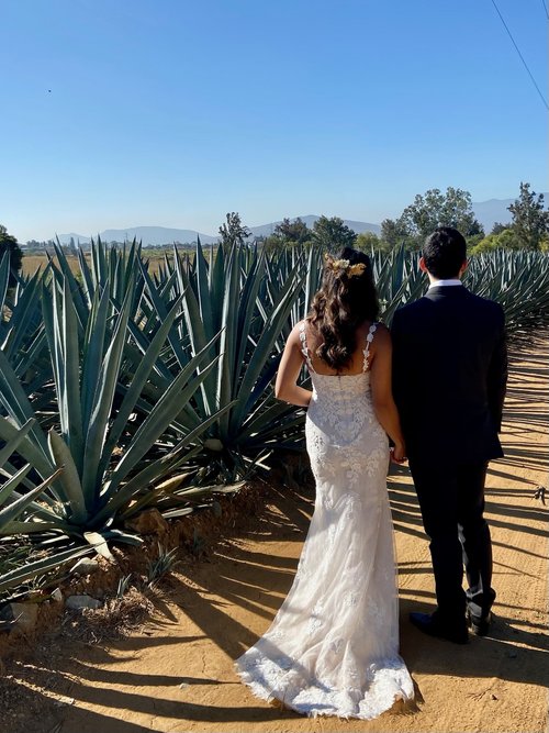 a bride and groom walking down a path in front of a cactus plant