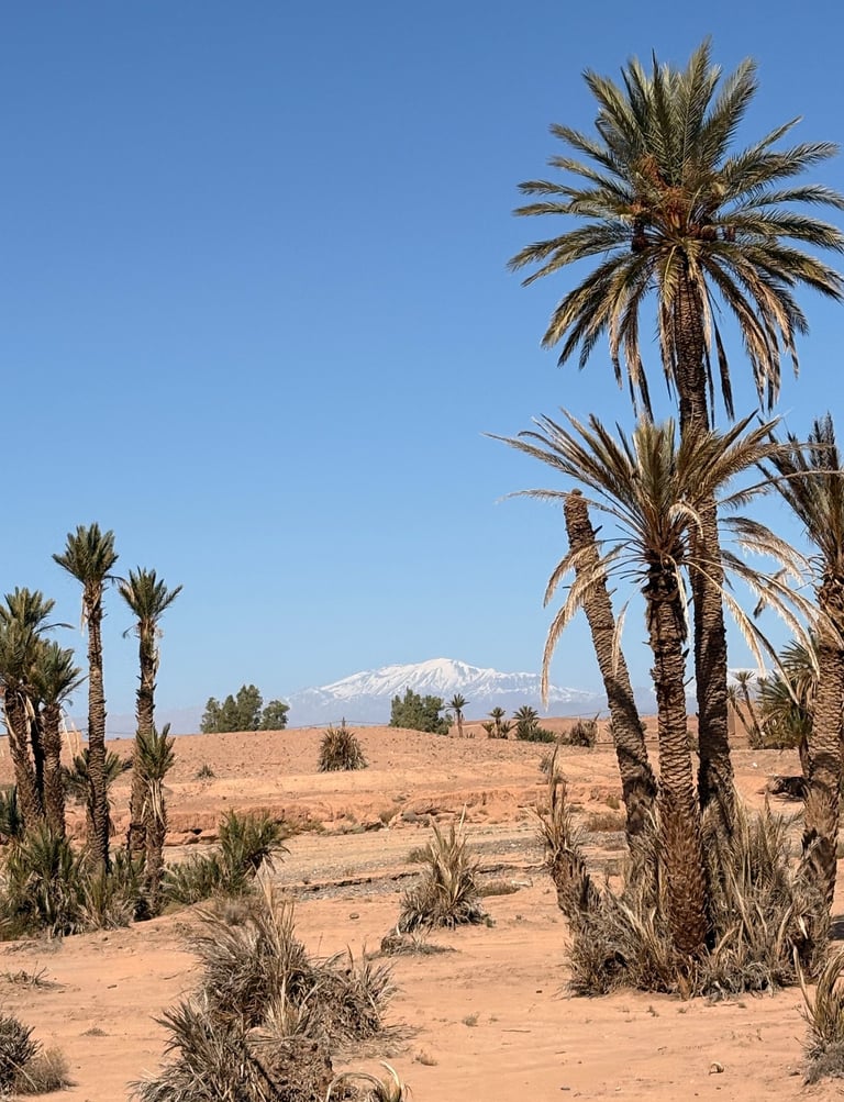 route des kasbahs