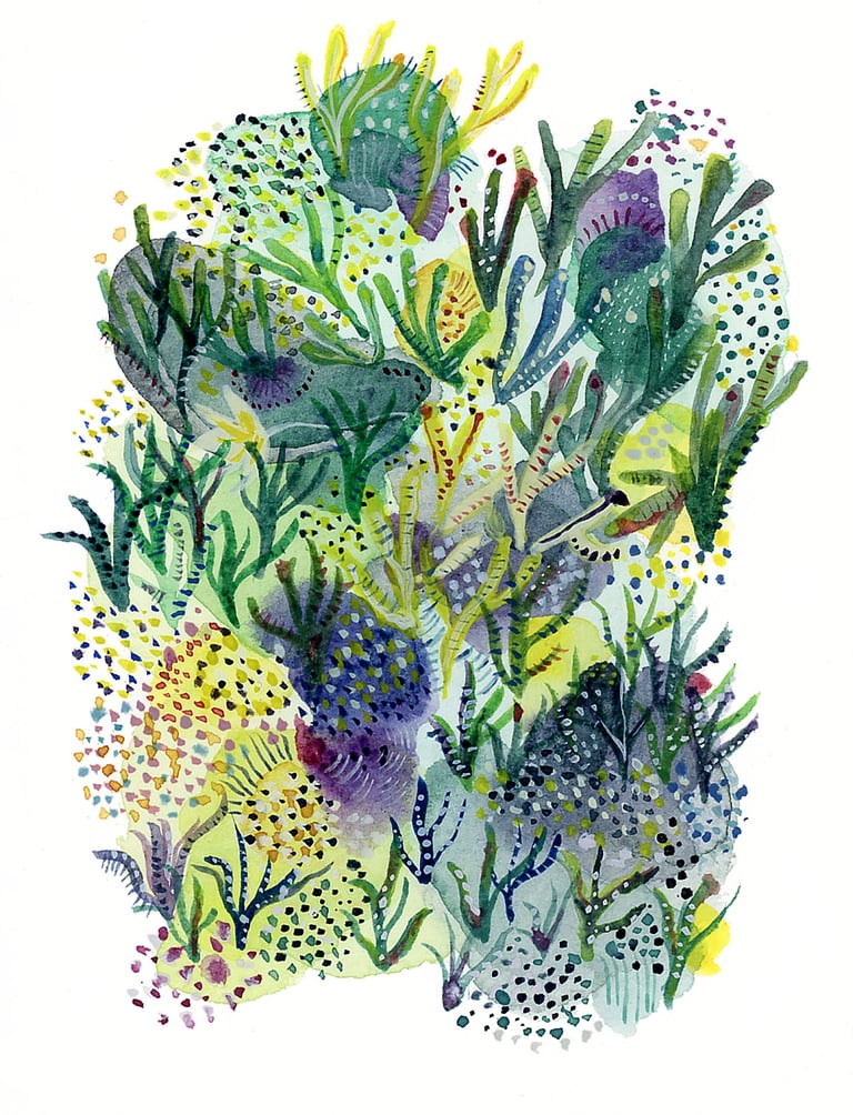 Aquarelle végétation aquatique tons verts et violets