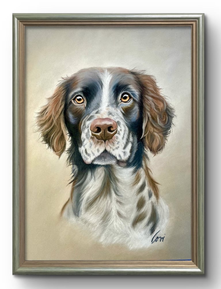 Framed fine art pet portrait of an English Springer Spaniel created by the artist usin soft pastels.