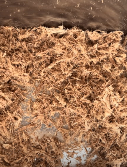 Carne Machaca