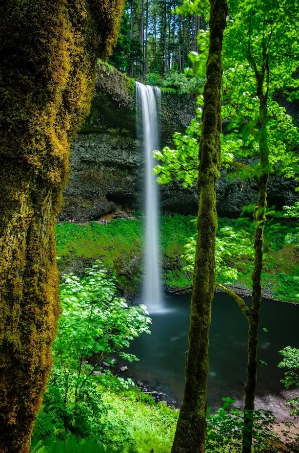 Salem, OR - South Falls seen from the South Falls Day Use area at Silver Falls Park