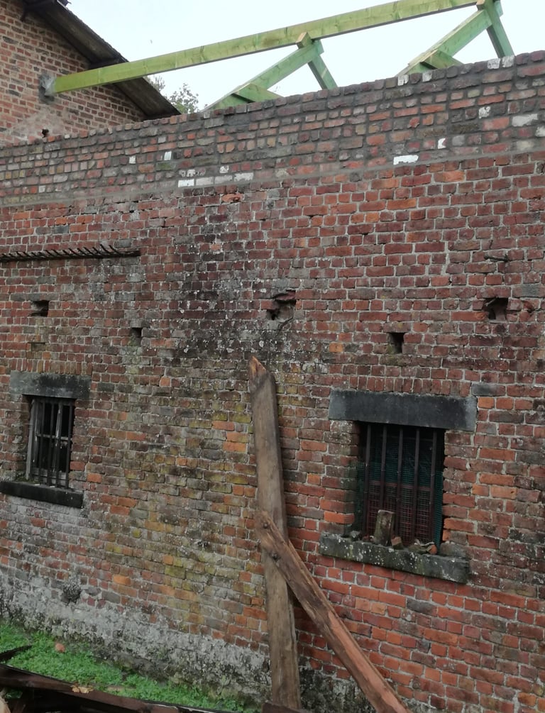 Ancien bâtiment en briques avec charpente en bois en cours de pose avant couverture de toiture.