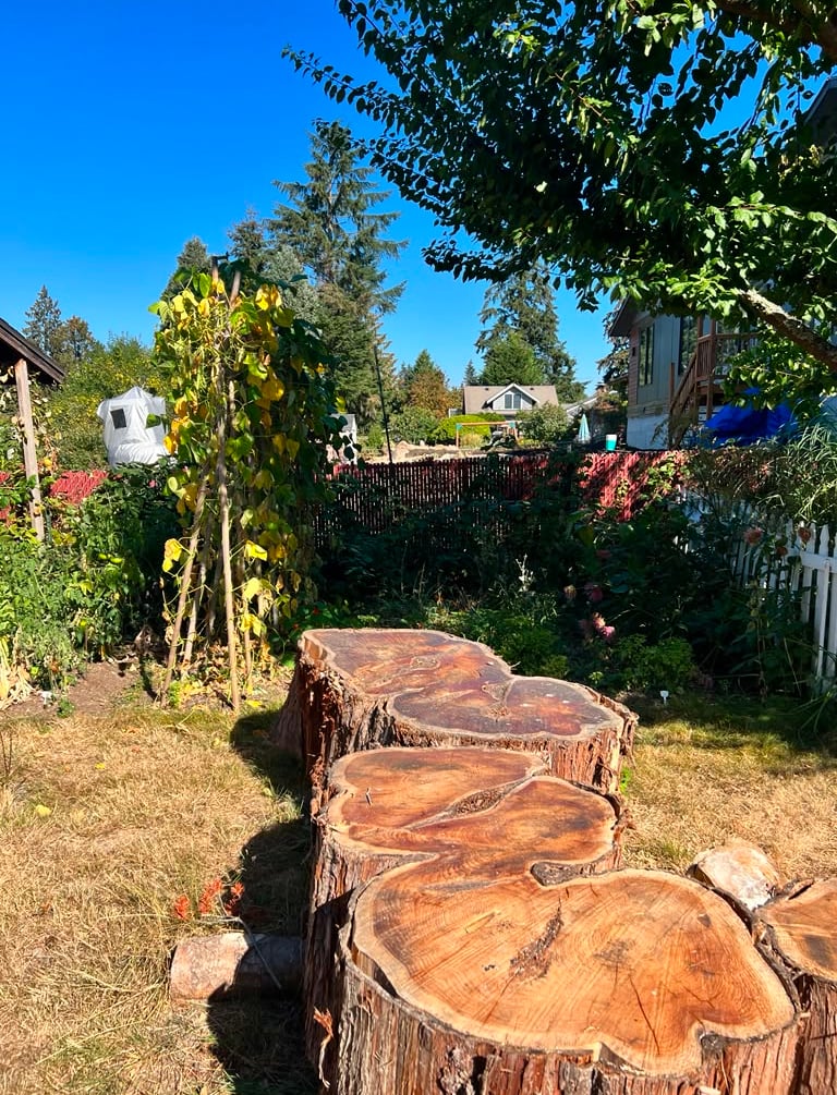 large and thick wooden slabs in a garden