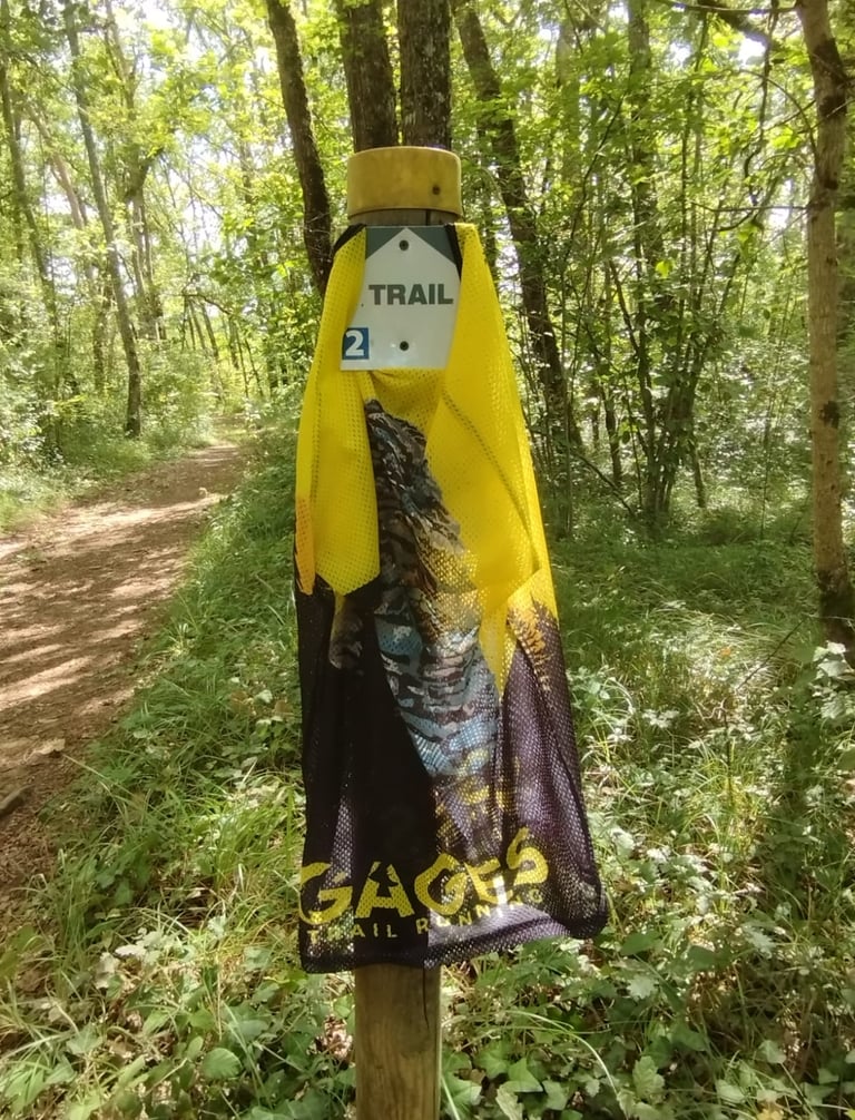 un maillot de courreur du GTR acroché à un arbre