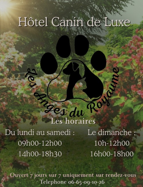 pension canine au royaume des émeraudes à Oyeu