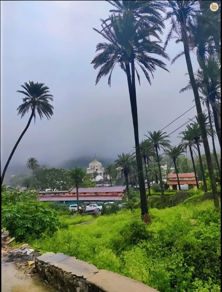 Distant view of Dilwara Jain Temples surrounded by greenery.