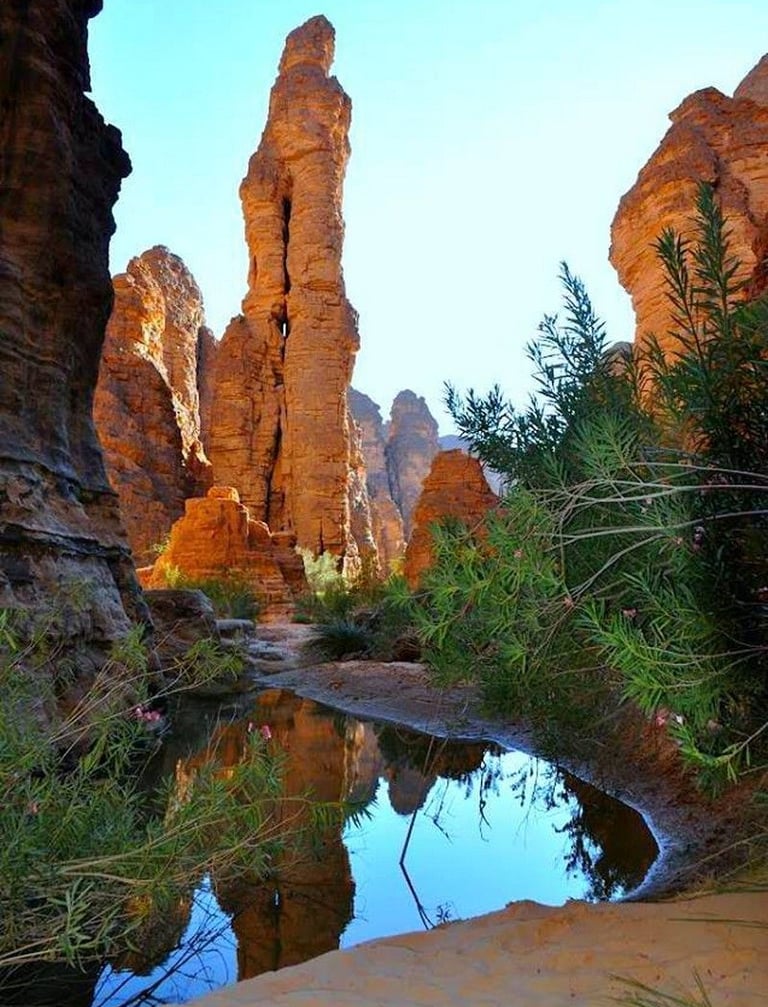 تاسيلي نجير